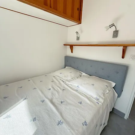 L'olivier Sainte-Maxime